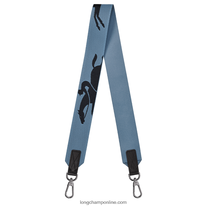 Slate F8FL1068 3D Shoulder strap Women Longchamp